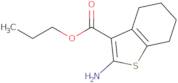 Propyl 2-amino-4,5,6,7-tetrahydro-1-benzothiophene-3-carboxylate