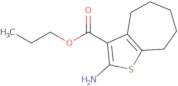 Propyl 2-amino-5,6,7,8-tetrahydro-4H-cyclohepta[b]thiophene-3-carboxylate