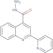 2-Pyridin-2-ylquinoline-4-carbohydrazide