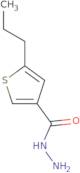 5-Propylthiophene-3-carbohydrazide