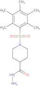 1-[(2,3,4,5,6-Pentamethylphenyl)sulfonyl]piperidine-4-carbohydrazide