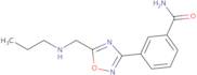 3-{5-[(Propylamino)methyl]-1,2,4-oxadiazol-3-yl}benzamide