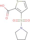 3-(Pyrrolidin-1-ylsulfonyl)thiophene-2-carboxylic acid