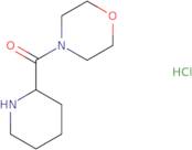 4-(Piperidin-2-ylcarbonyl)morpholine hydrochloride