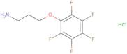 [3-(Pentafluorophenoxy)propyl]amine hydrochloride