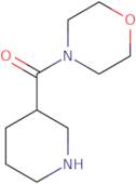 4-(Piperidin-3-ylcarbonyl)morpholine