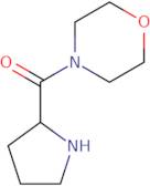 4-(Pyrrolidin-2-ylcarbonyl)morpholine