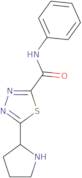 N-Phenyl-5-pyrrolidin-2-yl-1,3,4-thiadiazole-2-carboxamide