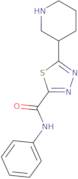 N-Phenyl-5-piperidin-3-yl-1,3,4-thiadiazole-2-carboxamide