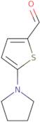 5-Pyrrolidin-1-ylthiophene-2-carbaldehyde