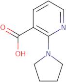 2-Pyrrolidin-1-ylnicotinic acid