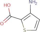 3-Amono-2-thiophenecarboxylic acid