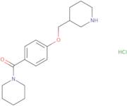 1-[4-(Piperidin-3-ylmethoxy)benzoyl]piperidine hydrochloride