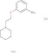 [3-(2-Piperidin-1-ylethoxy)phenyl]amine dihydrochloride