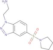 {2-[5-(Pyrrolidin-1-ylsulfonyl)-1H-1,2,3-benzotriazol-1-yl]ethyl}amine