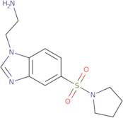 {2-[5-(Pyrrolidin-1-ylsulfonyl)-1H-benzimidazol-1-yl]ethyl}amine