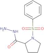 1-(Phenylsulfonyl)pyrrolidine-2-carbohydrazide