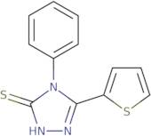 4-Phenyl-5-(2-thienyl)-4H-1,2,4-triazole-3-thiol