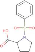 1-(Phenylsulfonyl)proline