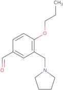 4-Propoxy-3-(pyrrolidin-1-ylmethyl)benzaldehyde