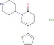 2-Piperidin-4-yl-6-(2-thienyl)pyridazin-3(2H)-one hydrochloride