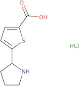 5-Pyrrolidin-2-ylthiophene-2-carboxylic acid hydrochloride