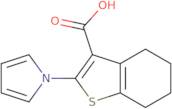 2-(1H-Pyrrol-1-yl)-4,5,6,7-tetrahydro-1-benzothiophene-3-carboxylic acid