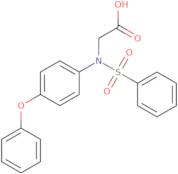 N-(4-Phenoxyphenyl)-N-(phenylsulfonyl)glycine