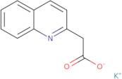 Potassium 2-(quinolin-2-yl)acetate