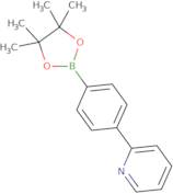 4-(2-Pyridinyl)phenylboronic acid pinacol ester