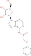 N6-Phenoxyacetyladenosine