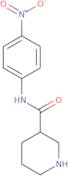 Piperidine-3-carboxylic acid(4-nitro-phenyl)-amide