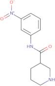 Piperidine-3-carboxylic acid(3-nitro-phenyl)-amide