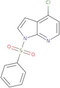 1H-Pyrrolo[2,3-b]pyridine, 4-chloro-1-(phenylsulfonyl)-