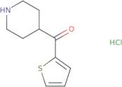 Piperidin-4-yl(thiophen-2-yl)methanone hydrochloride