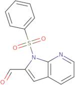 1-(Phenylsulfonyl)-1H-pyrrolo[2,3-b]pyridine-2-carbaldehyde