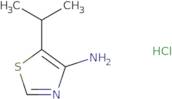5-(Propan-2-yl)-1,3-thiazol-4-amine hydrochloride