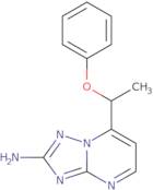 7-(1-Phenoxyethyl)[1,2,4]triazolo[1,5-a]pyrimidin-2-amine