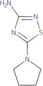 5-(Pyrrolidin-1-yl)-1,2,4-thiadiazol-3-amine