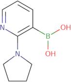 2-(Pyrrolidin-1-yl)pyridine-3-boronic acid