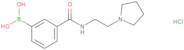 3-(2-(Pyrrolidin-1-yl)ethylcarbamoyl)phenylboronic acid, HCl