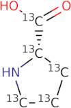 L-Proline-13C5