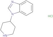 1-(Piperidin-4-yl)-1H-1,3-benzodiazolehydrochloride