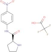 H-L-Pro-pNA Trifluoracetate