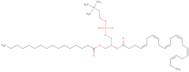 Palmitoyldocosahexaenoyl phosphatidylcholine