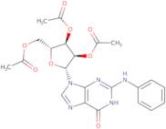 N-Phenyl-guanosine 2',3',5'-triacetate