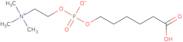 6-(O-Phosphorylcholine)hydroxyhexanoic acid
