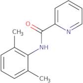2',6'-Picolinoxylidide