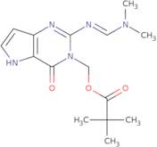 N1-(Pivaloyloxy)methyl-N2-(dimethylamino)methylene 9-deazaguanine