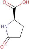 (R)-2-Pyrrolidinone-5-carboxylic acid
